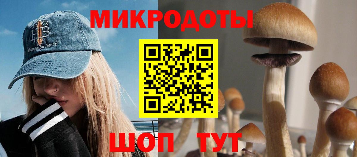 Татарск  Галлюциногенные грибы прущие грибы  Псилоцибиновые грибы Cubensis  купить наркотики цена  Вход с VPN 